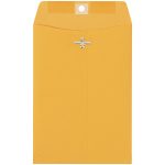 Mailing Envelope 6'' X 9'' (100 Mailers)